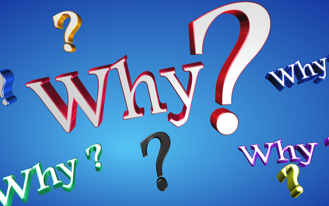 Why envyTV?